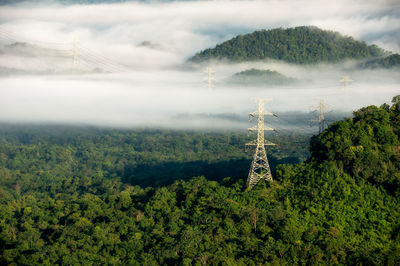 Aerial view transmission tower in green forest morning smooth fog. energy and environment concept. 