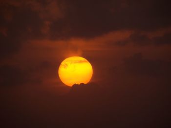 Silhouette tree against orange sky