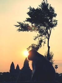 Silhouette of tree against sky during sunset