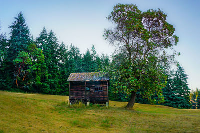 Trees on field against sky