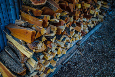 Stack of logs in forest