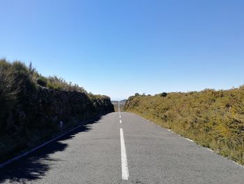 Empty road along trees and against sky