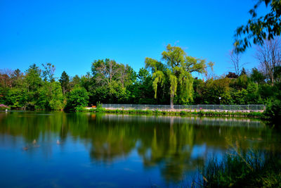 Scenic view of lake against clear blue sky