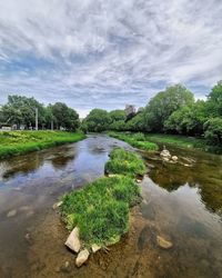 Scenic view of river by trees against sky