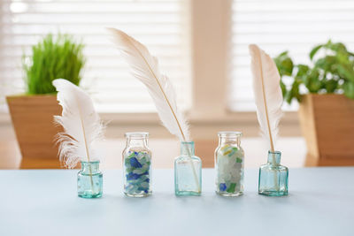 Close-up of feather in glass bottles on table