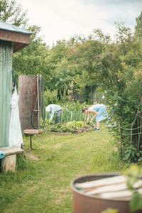People in yard