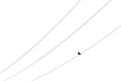 Low angle view of birds perching on cable against sky