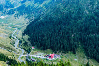 High angle view of winding road amidst trees