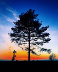 Low angle view of silhouette tree against sky at sunset