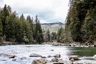 Scenic view of trees and mountains against sky