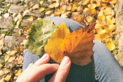 Close-up of hand holding yellow leaf