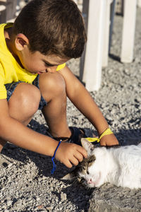 High angle view of boy playing with cat