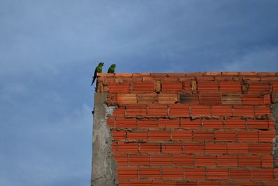 Low angle view of birds perching on brick wall against sky
