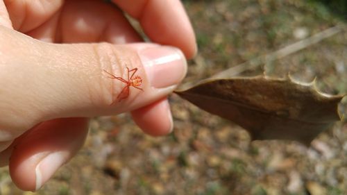 Cropped image of hand holding sunglasses