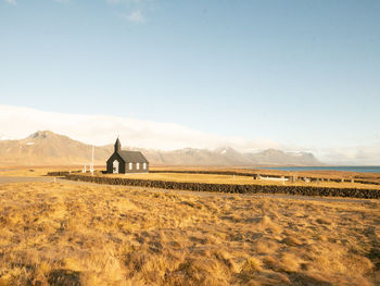 Horses grazing on field against clear sky