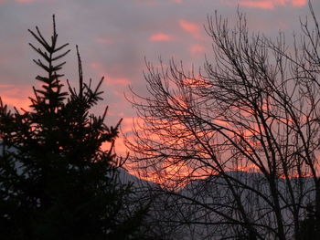 Silhouette trees against sky during sunset