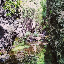 Stream flowing through rocks