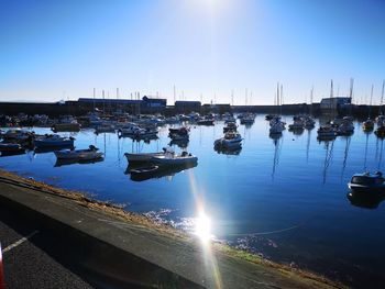 Boats moored in harbor against clear sky