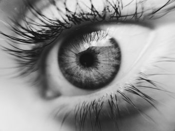 Extreme close-up portrait of human eye