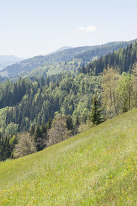 Landscape with mountain range in background