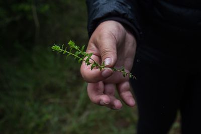 Midsection of person holding plant in back yard