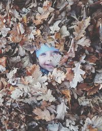 High angle portrait of girl with dry leaves