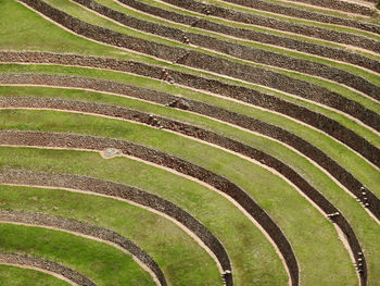 Full frame shot of green field