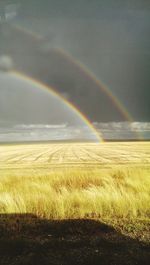 Scenic view of field against rainbow in sky