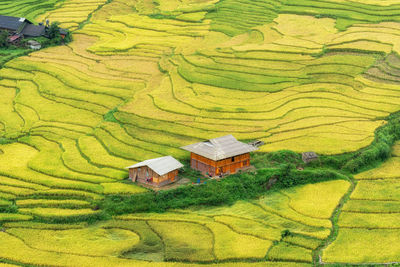 High angle view of agricultural field