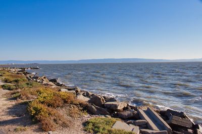 Scenic view of sea against clear blue sky