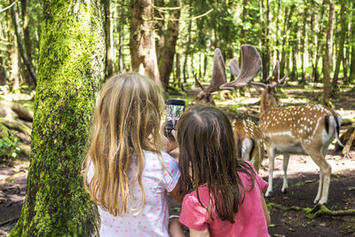 Rear view of girls photographing deer standing on field in forest