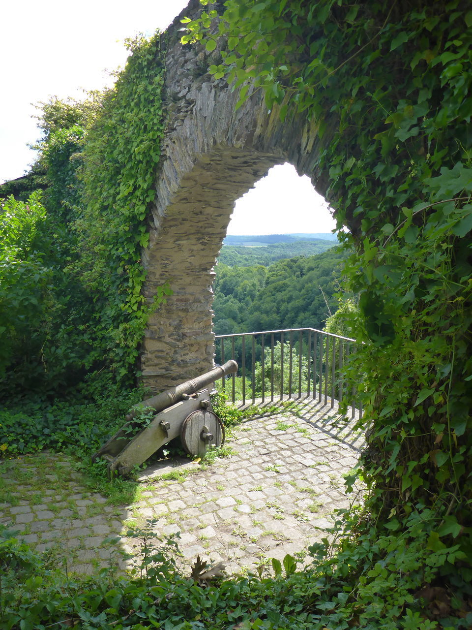 VIEW OF A WALL THROUGH A TREE