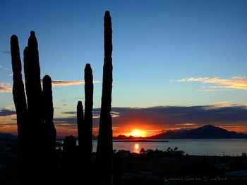Silhouette cactus by sea against sky during sunset