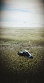 Sea shore on beach against sky