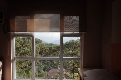 Trees seen through window of house