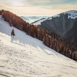 Snow covered landscape against sky