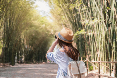 Rear view of woman photographing while standing by bamboo grove