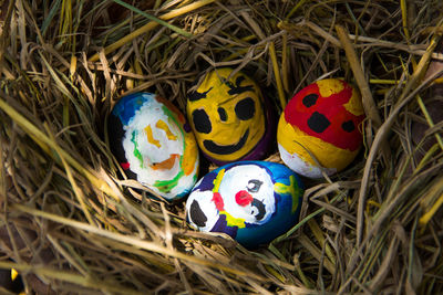 High angle view of multi colored eggs in nest