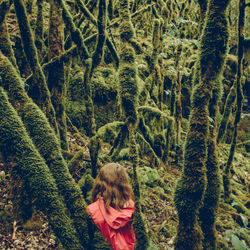 Little red riding hood lost in a scary and terrorizing forest