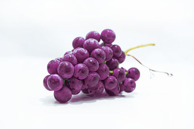 Close-up of berries against white background