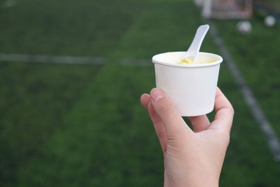 Cropped hand of woman holding ice cream cup