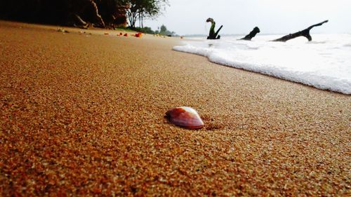 Surface level of sandy beach