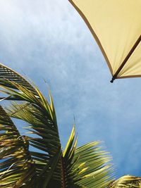 Low angle view of palm tree against sky