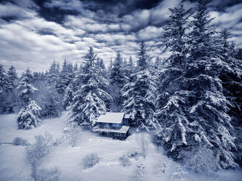 Snow covered trees in forest against sky