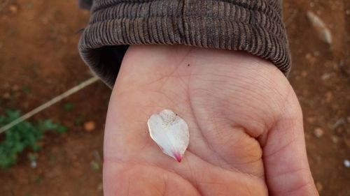 Close-up of human hand