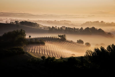 Scenic view of landscape against sky during sunset