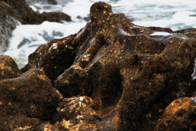 Close-up of rock formation