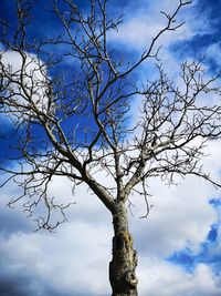 Low angle view of bare tree against sky