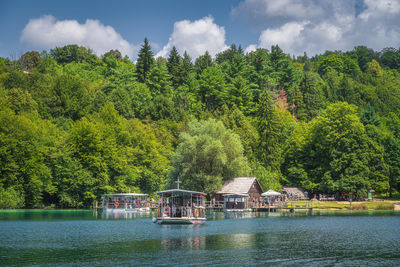 Plants and trees by lake against sky