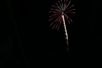 Low angle view of firework display at night